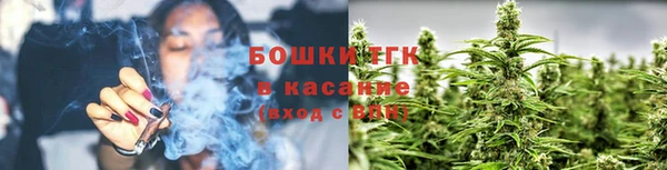 спайс Тайга