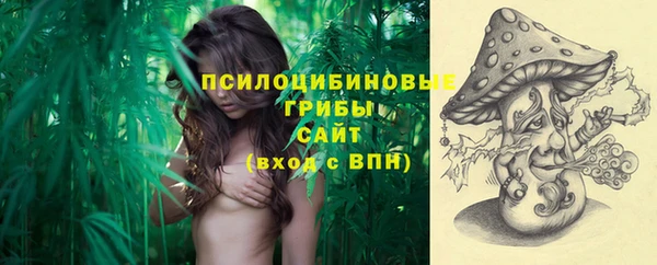 спайс Тайга
