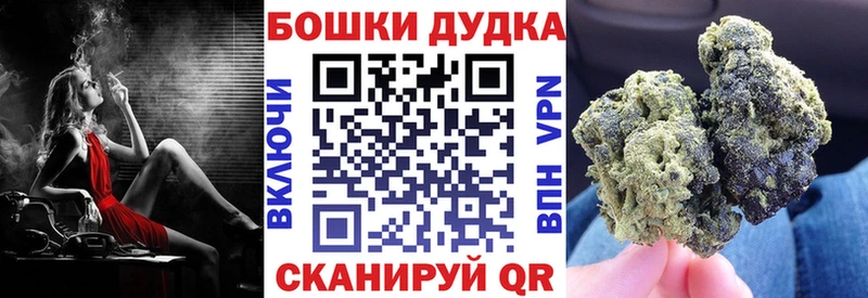 Каннабис OG Kush  Купить  Плавск 